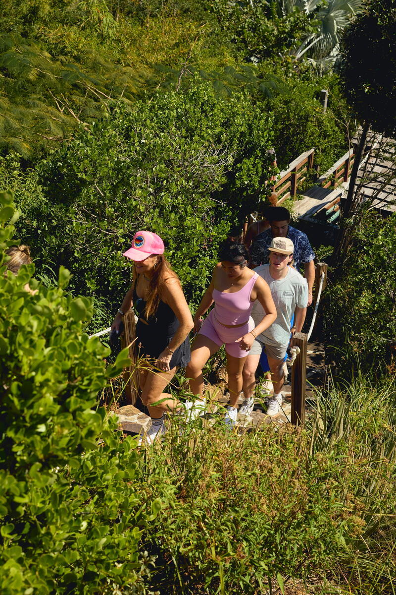 People ascend stone steps surrounded by dense greenery. The group includes individuals wearing casual summer attire, climbing a hill or garden path under sunlight. A wooden railing lines the path.