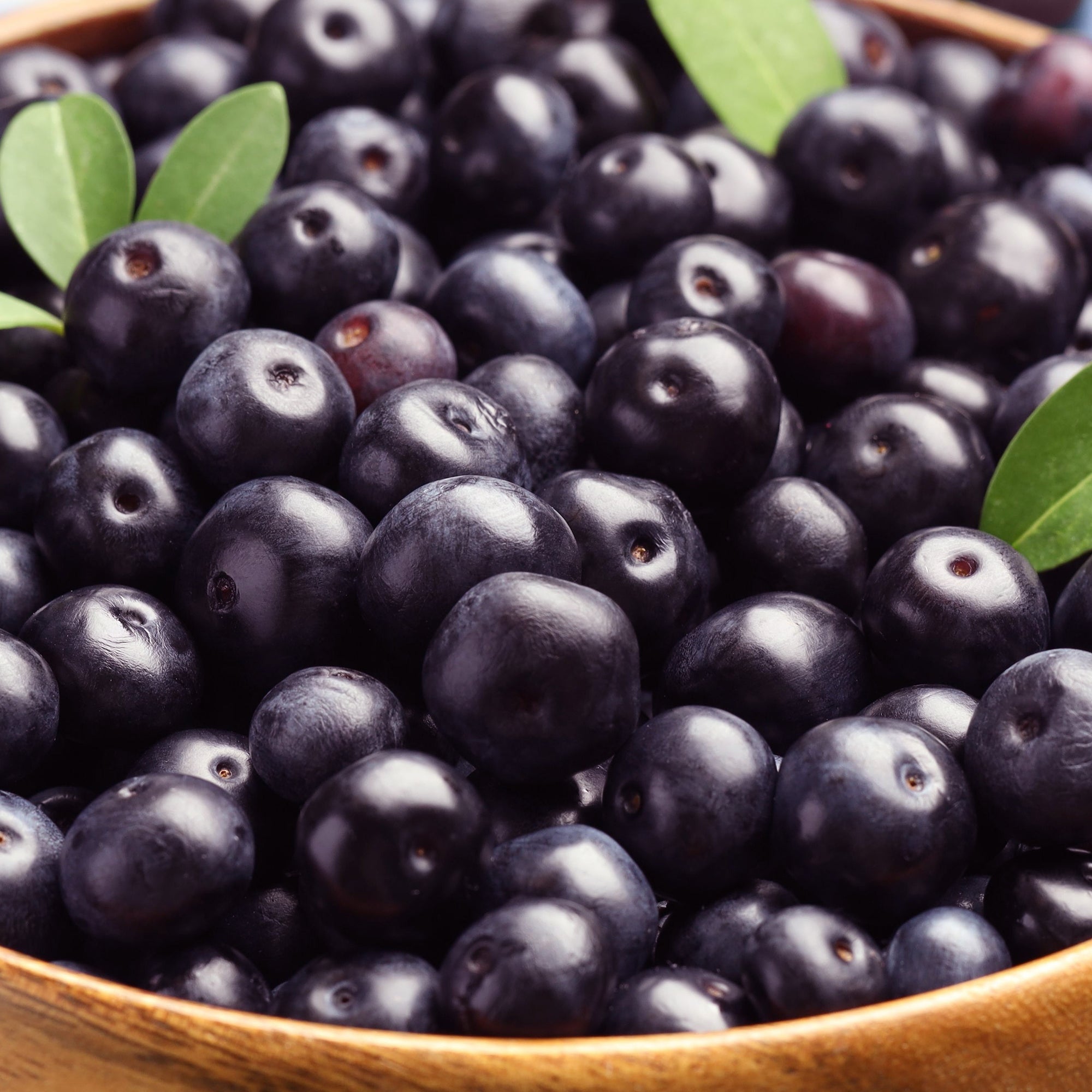 Plump blueberries fill a wooden bowl, surrounded by a few green leaves, creating a fresh and vibrant composition.