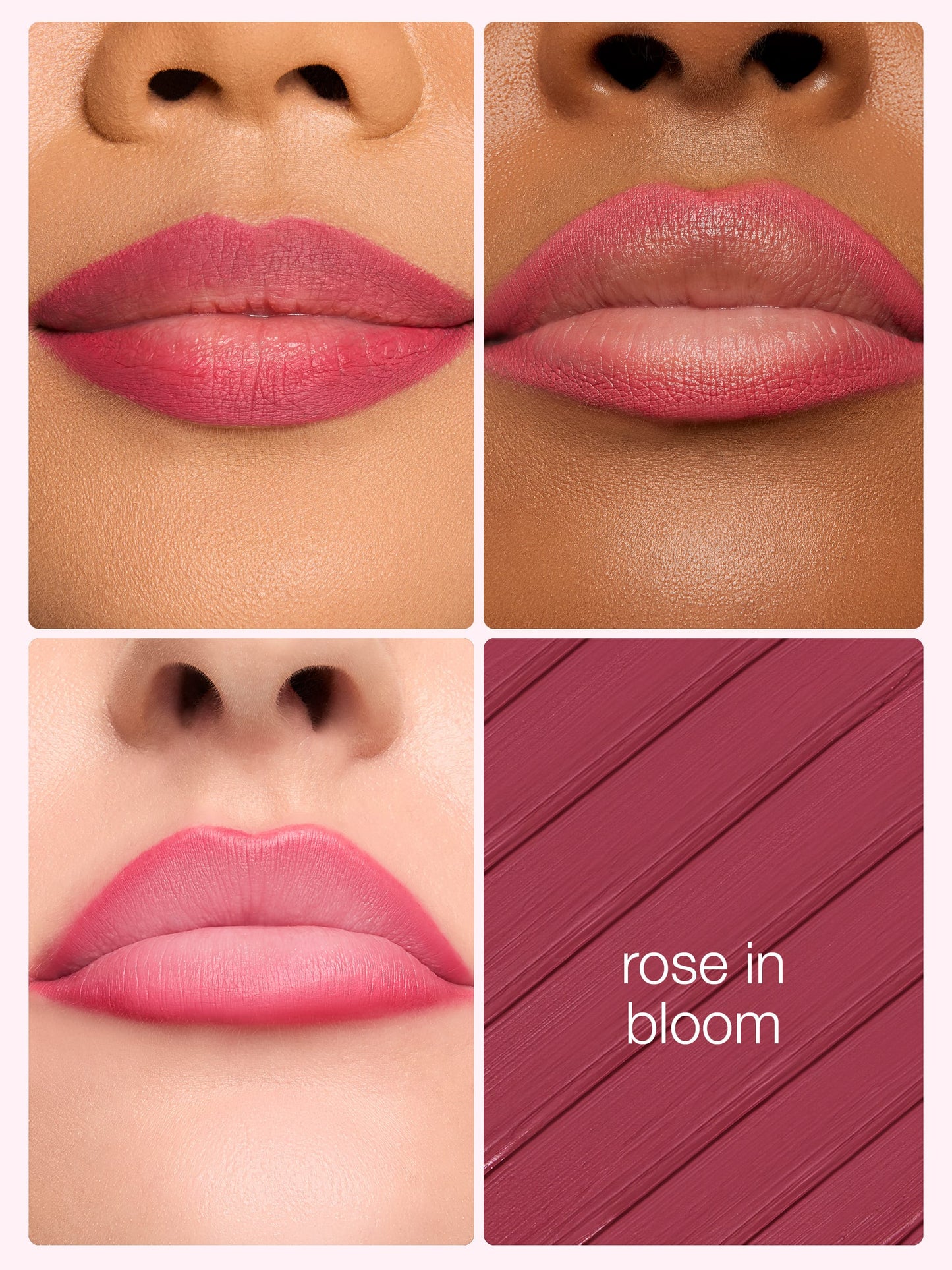 Lipstick color swatch labeled 'Rose in Bloom' on a neutral background