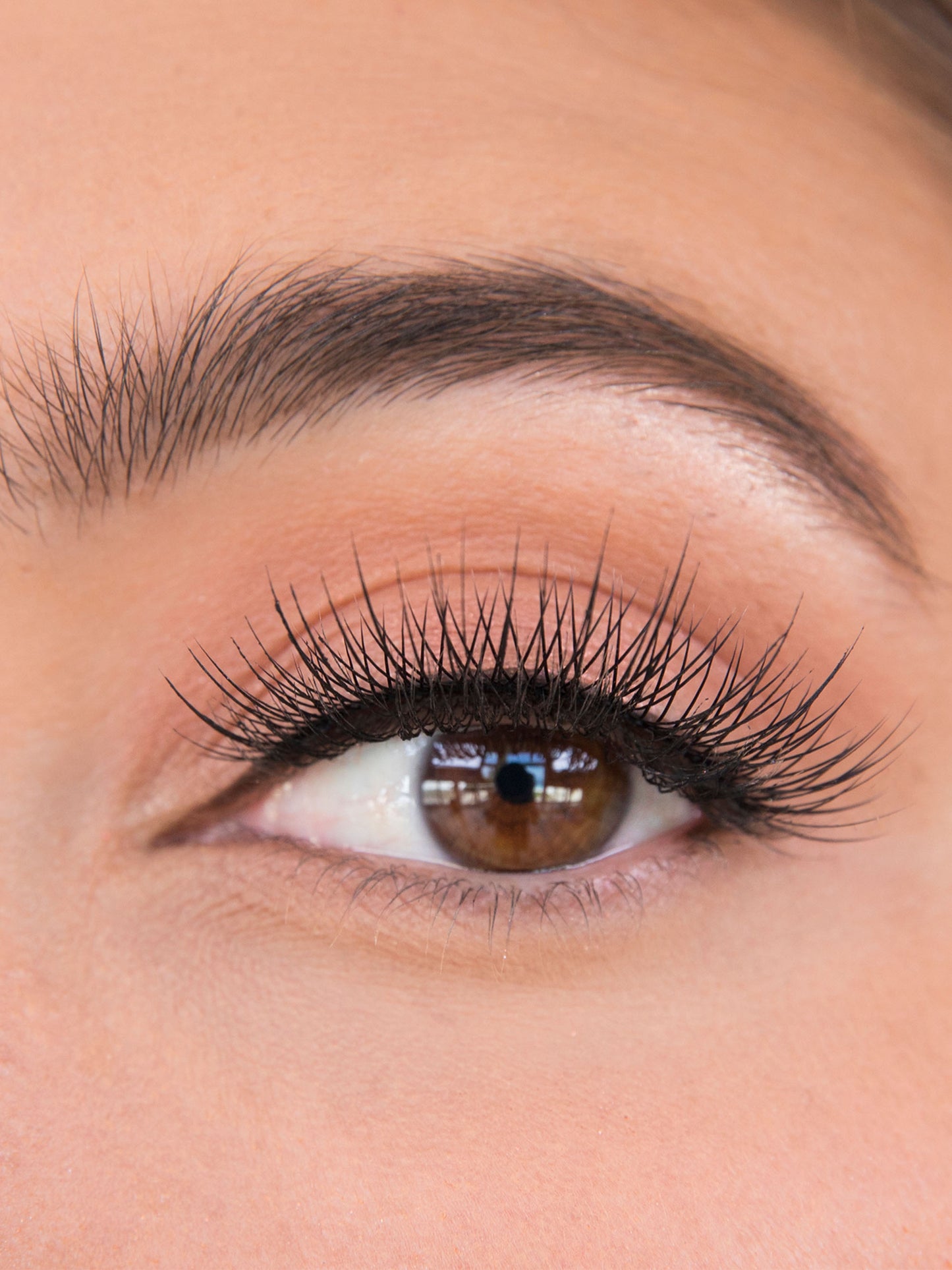 Close-up of an eye with long, dark eyelashes and well-groomed eyebrows.