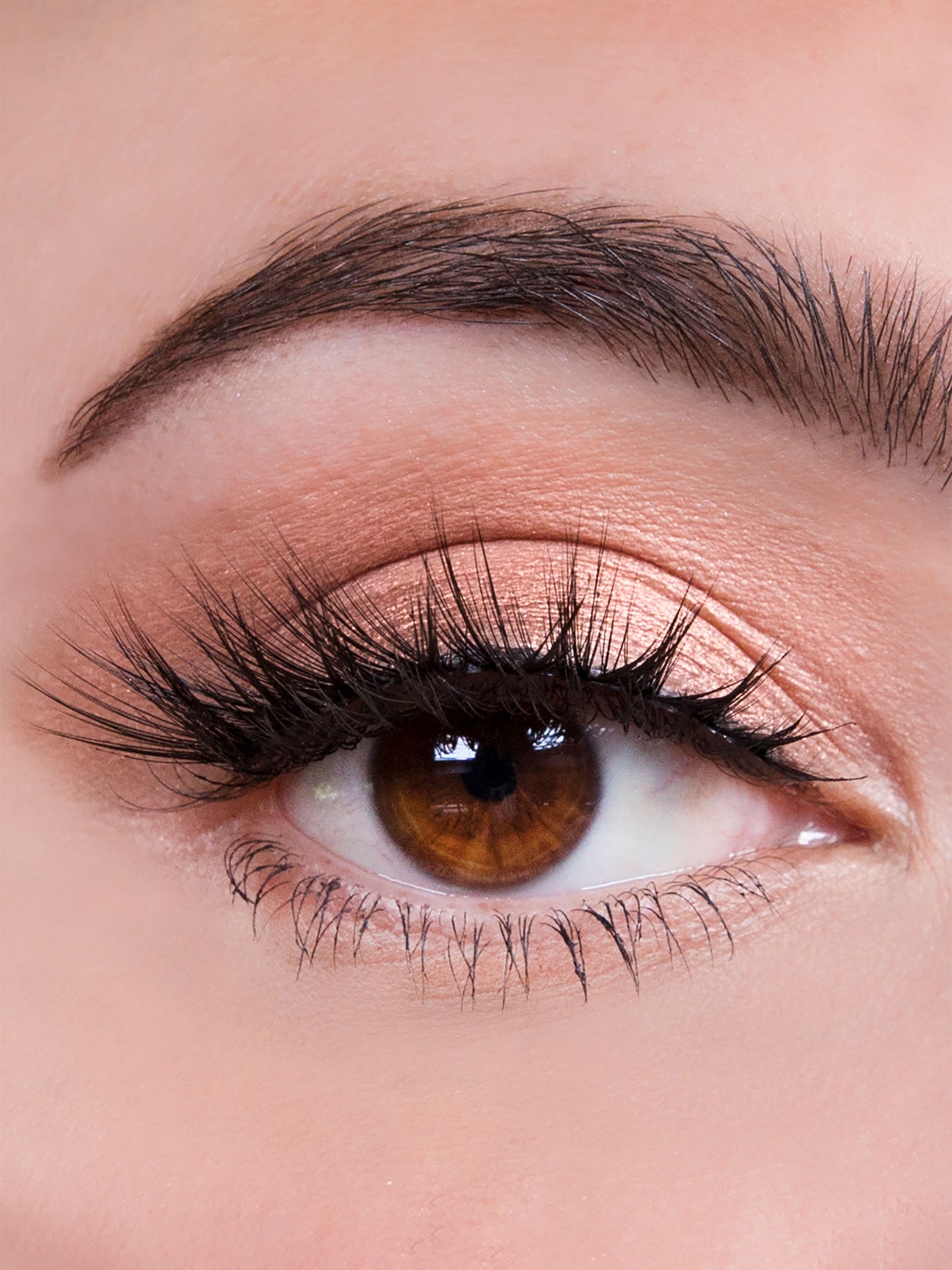 Close-up of a brown eye with long eyelashes